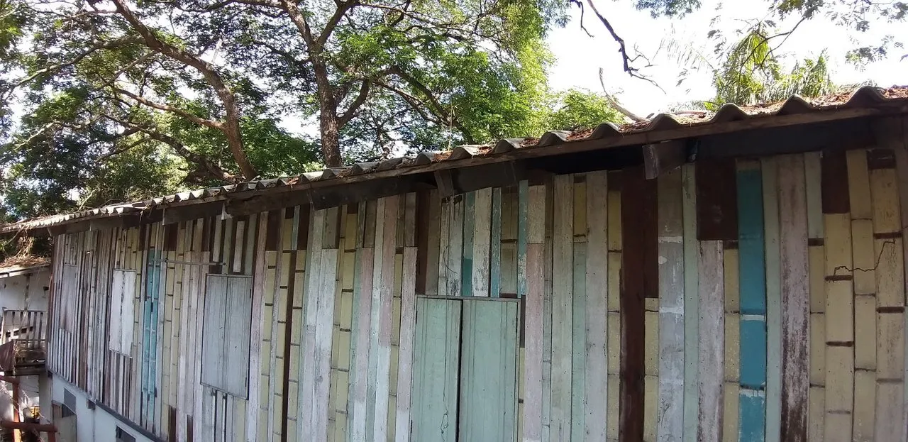 Bajemkik%20and%20Lumpini%20Park%20-%20S9%20-%20May%202020%20339.jpg