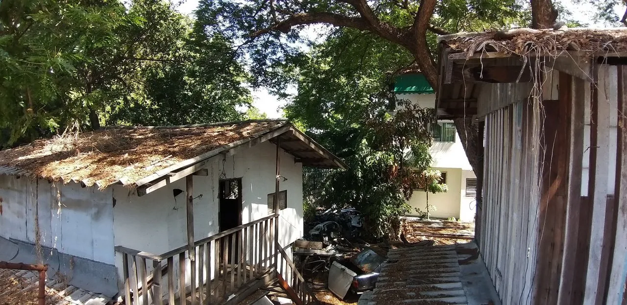 Bajemkik%20and%20Lumpini%20Park%20-%20S9%20-%20May%202020%20337.jpg