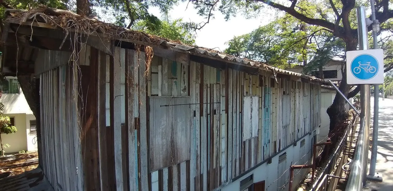 Bajemkik%20and%20Lumpini%20Park%20-%20S9%20-%20May%202020%20338.jpg