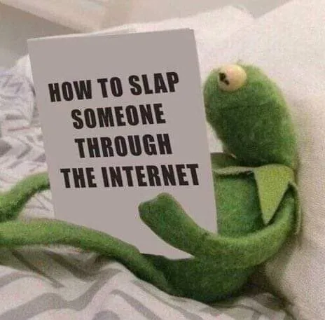 Kermit, how to slap somebody through the Internet.jpeg