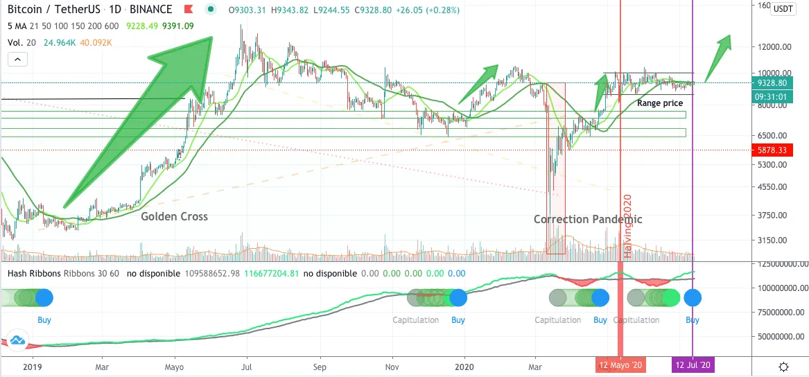Captura de pantalla 2020-07-13 a las 11.30.14 a.m..png