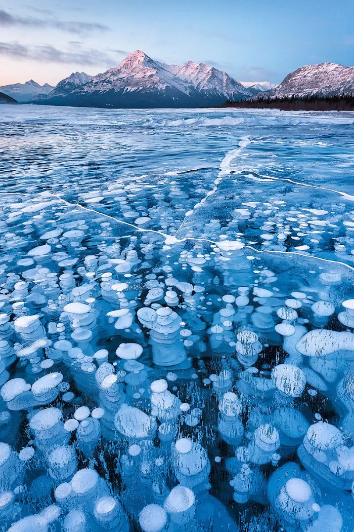 Unbelievable-Not-Photoshopped-Photos-Real-61-58b0326e202f5__700.jpg