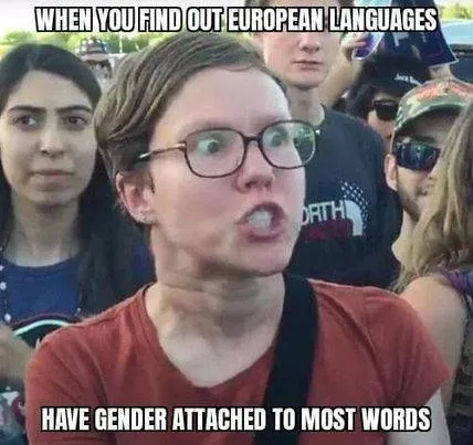Image may contain: 1 person, meme, text that says "WHEN YOU FIND OUT EUROPEAN LANGUAGES ORTH HAVE GENDER ATTACHED TO MOST WORDS"