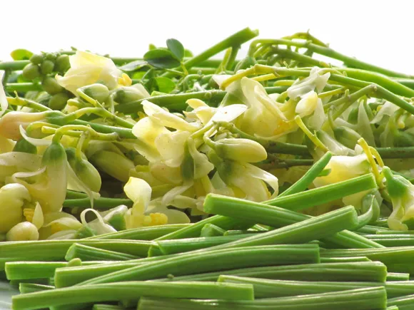 Moringa pods and flowers