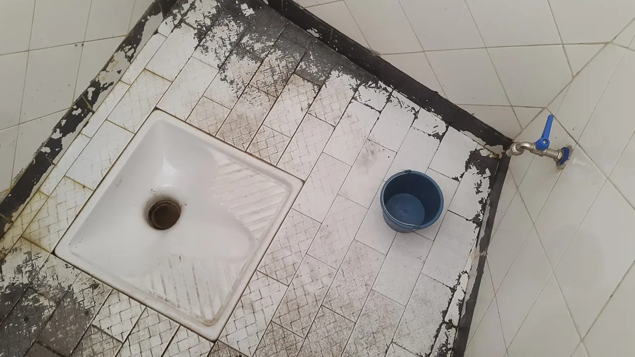 Yep...you have to fill that tiny basket and flush the thing by yourself.