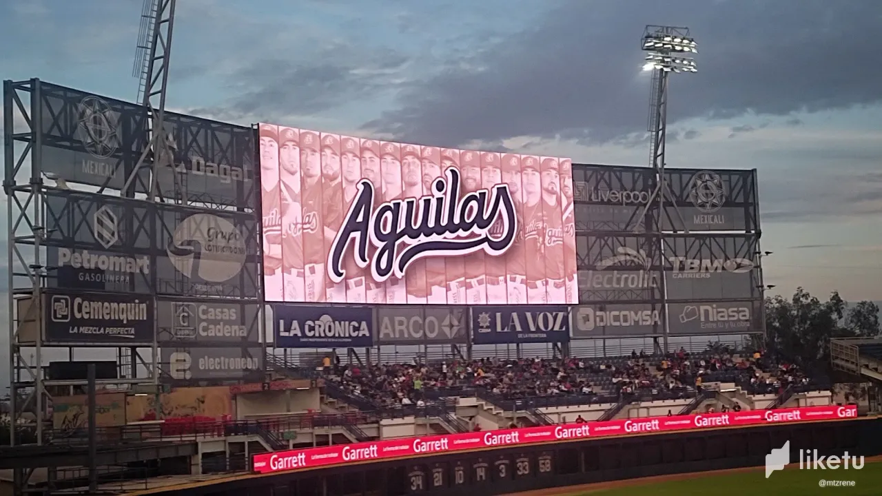TEPZ1vQvT3cHy3vj_aguilas7.webp