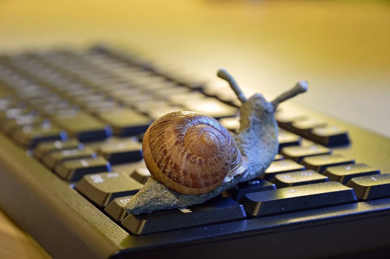 snail-3901655_1280.jpg