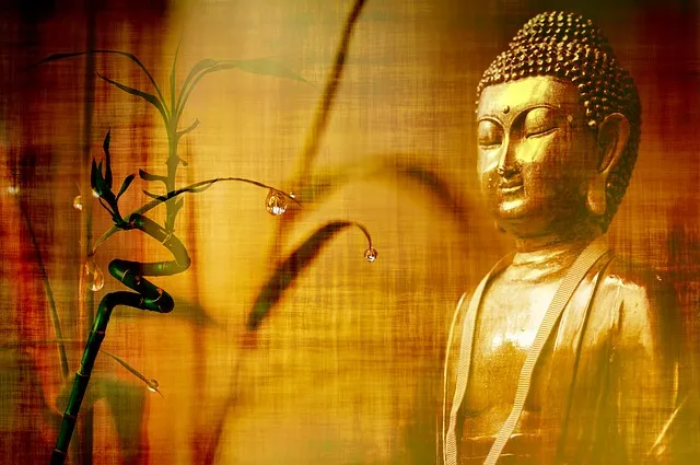 bamboo-2118461_640.jpg
