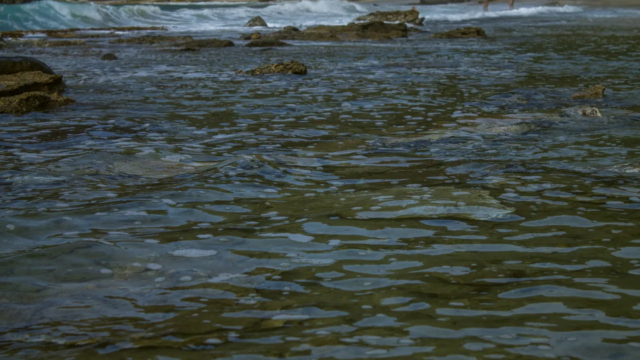 Playa Choroni-15.jpg