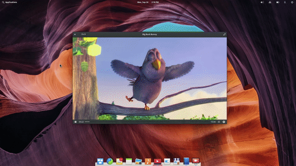 Picture-in-Picture.gif