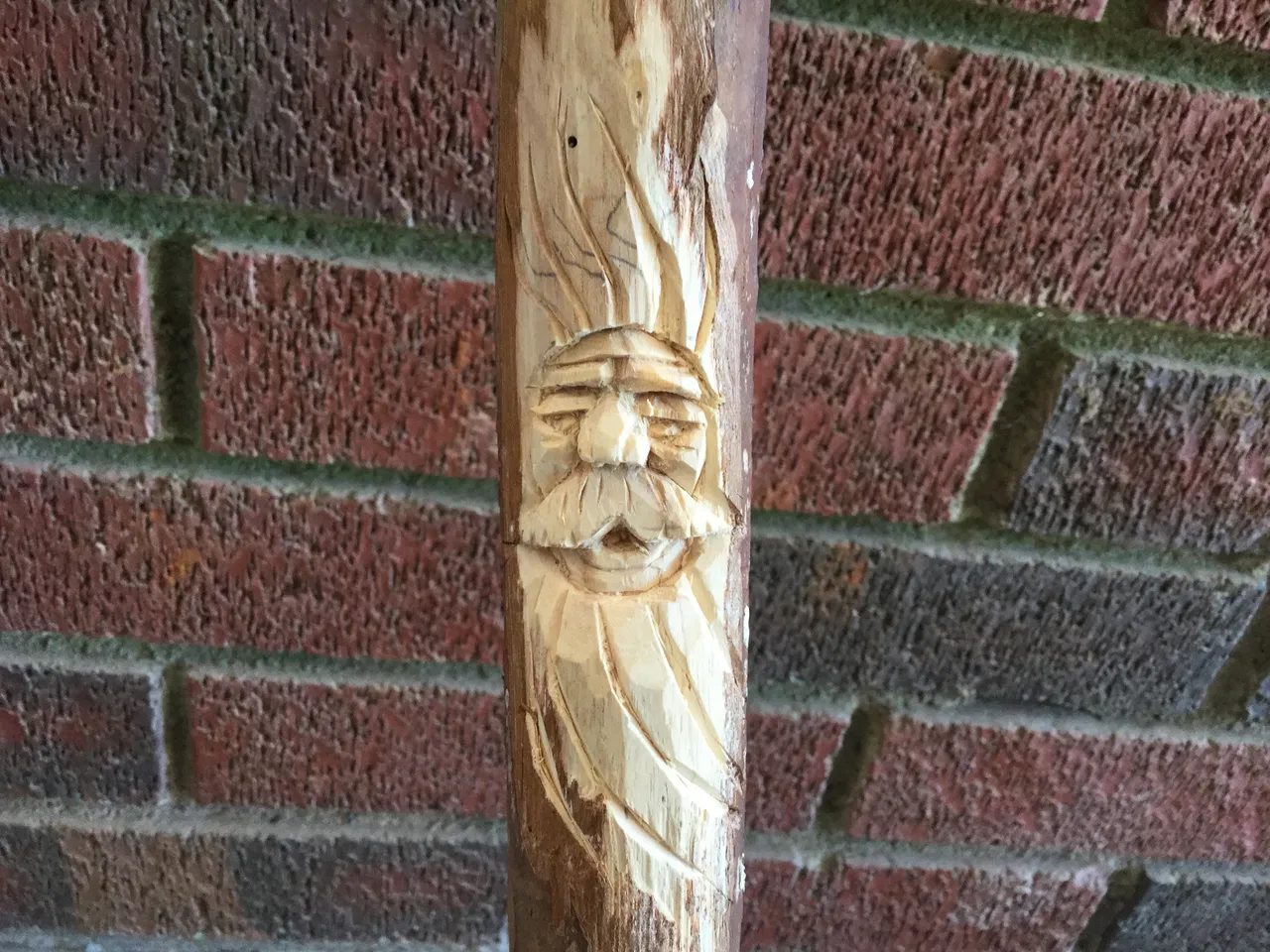 woodwizardinbranch.JPG