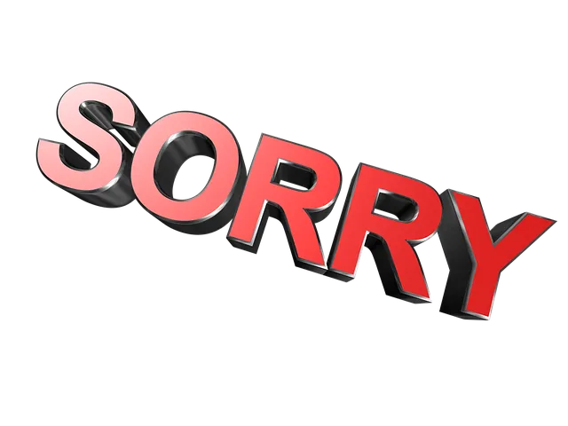 sorry-2759305__480.png