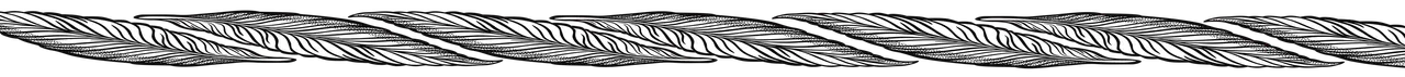FeatherSteemBanner.png