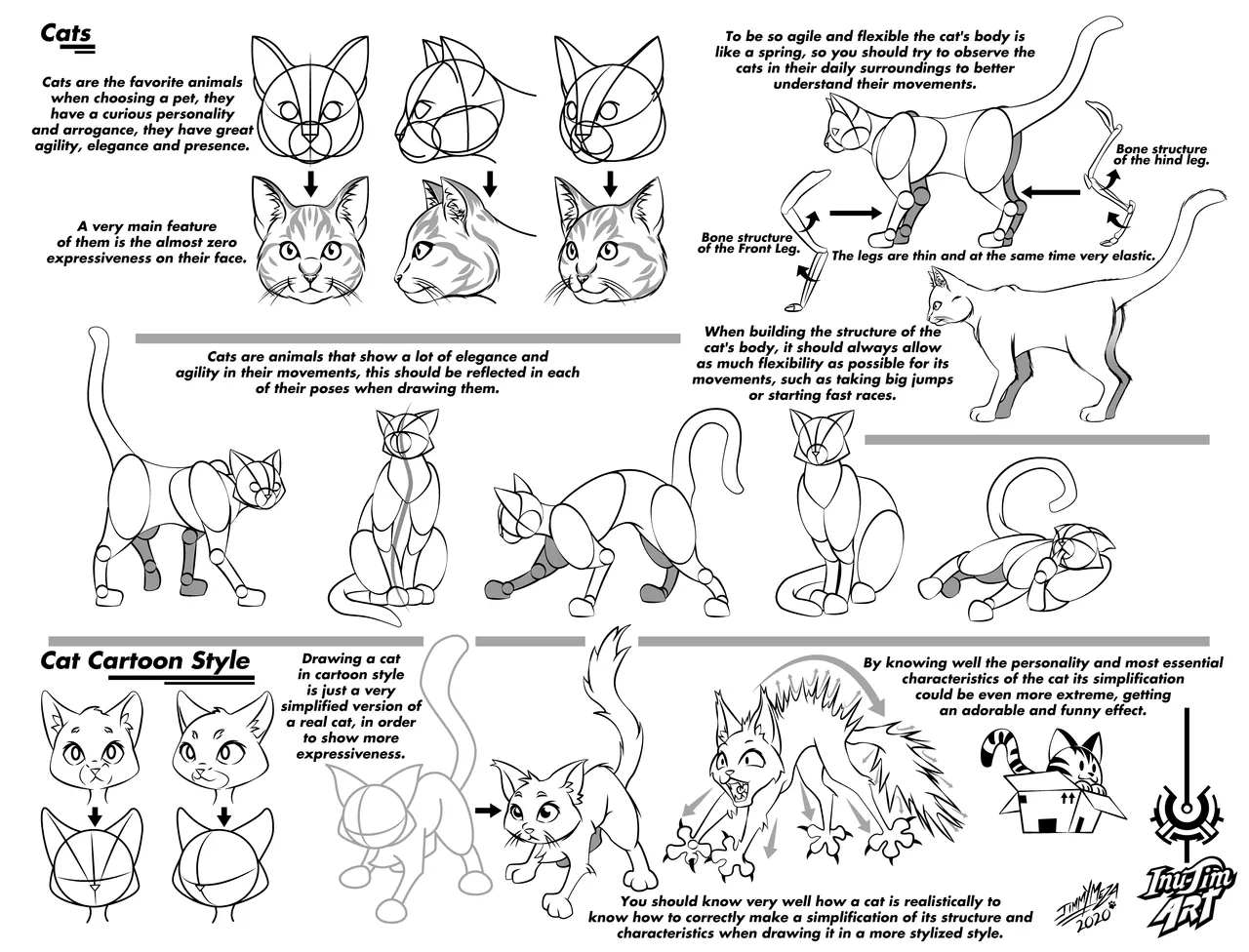 Gatos - Ingles.png