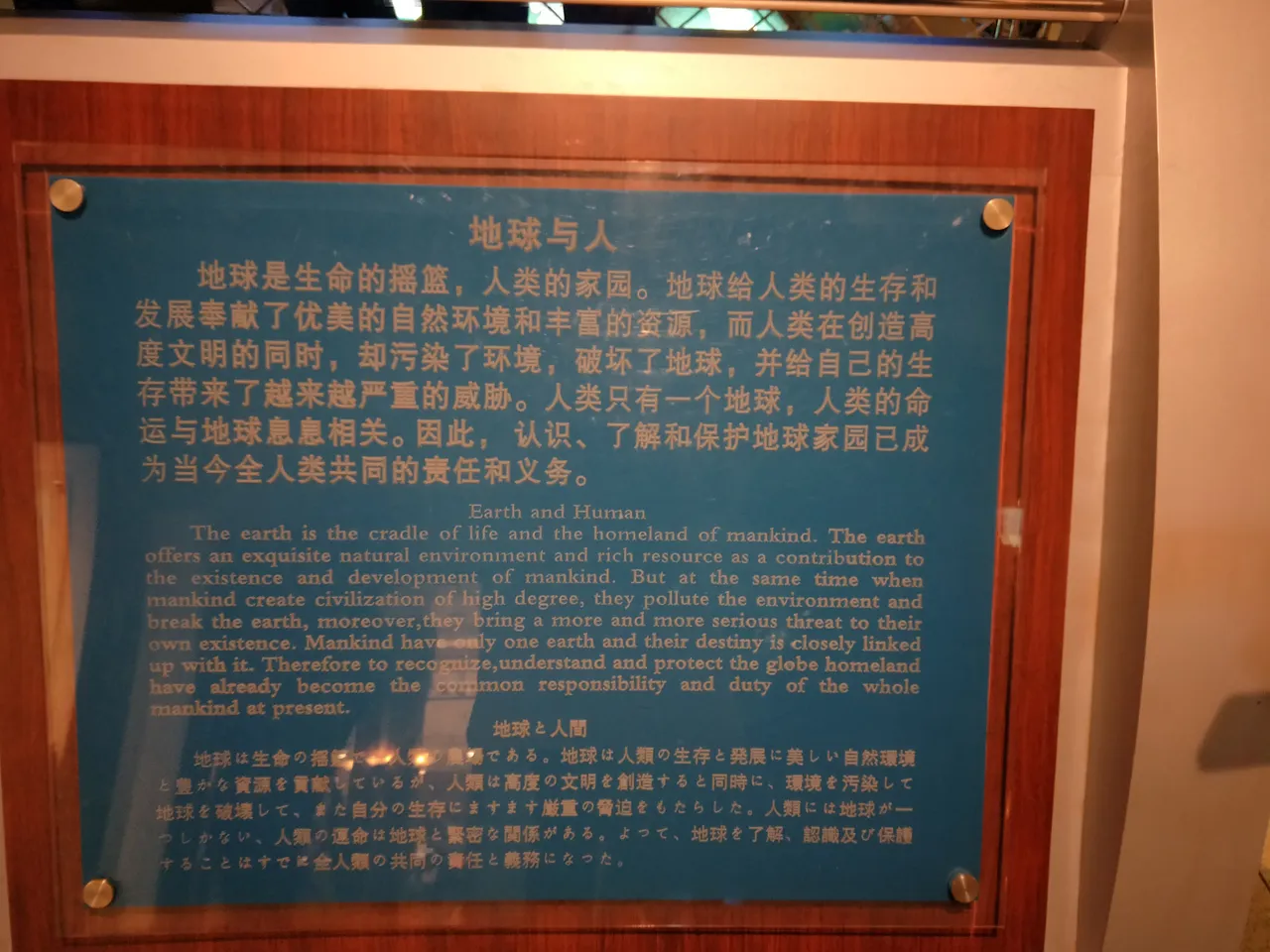 地球.jpg