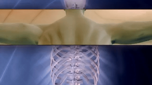 gabapentin human.gif