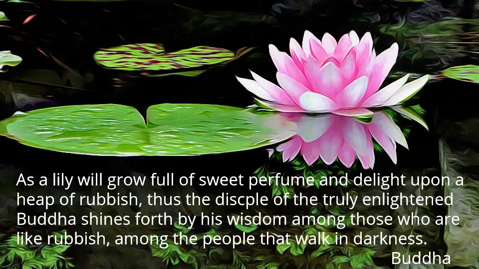 buddha lotus 3.jpg