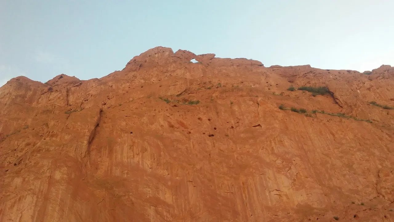 20190716_195350[2].jpg