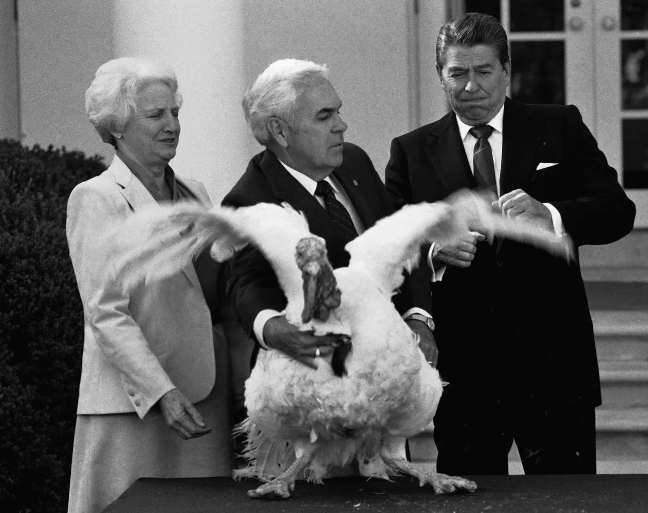 pardoning-turkey-7.jpg