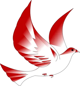 indonesian-dove-md.png