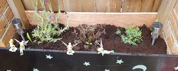 Lavender pot 2.jpg