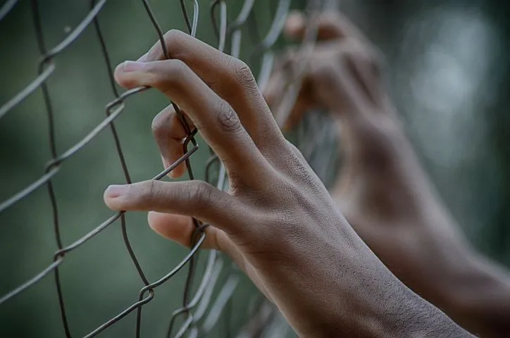fence-2163951__480.jpg