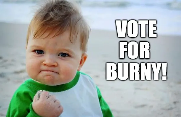 VOTE BURNY_meme6.png