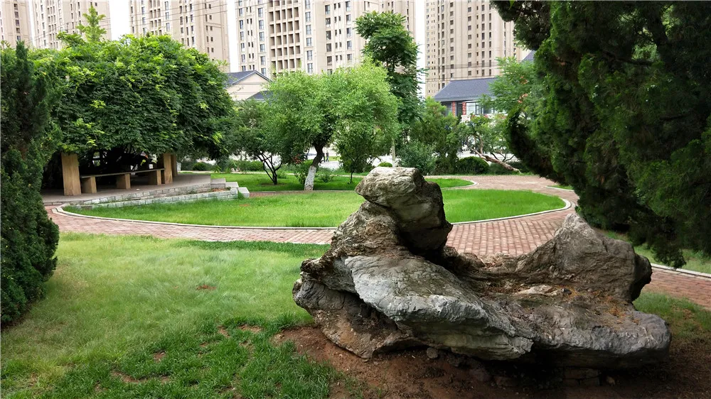 怪石.jpg