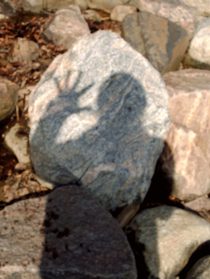IMAG0030-ANIMATION.gif