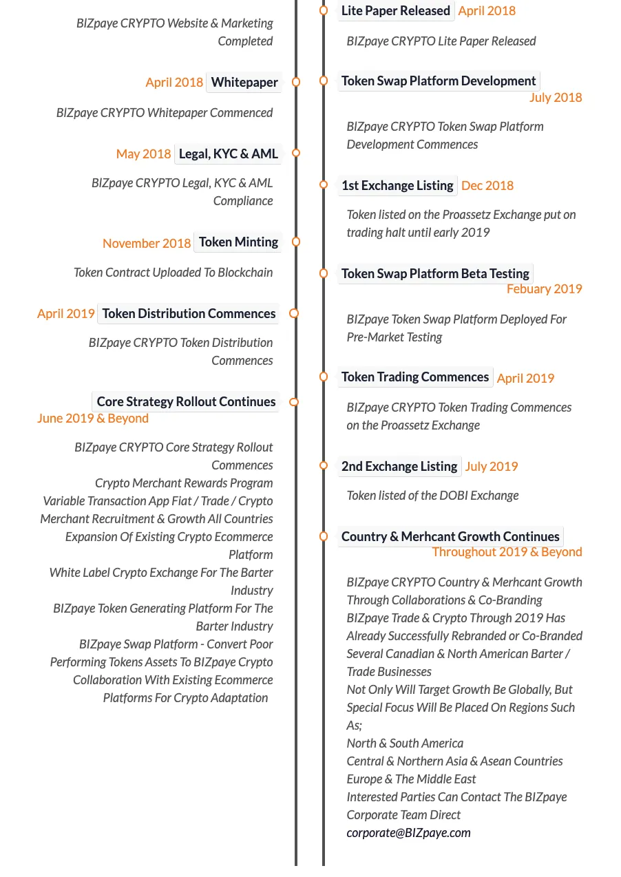 Bizpaye roadmap2.png