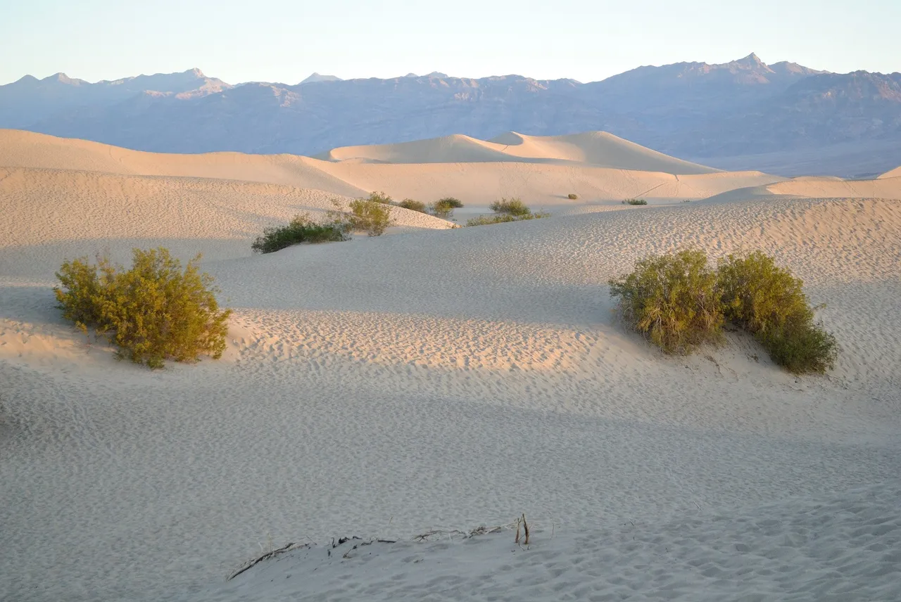 dunes-1538593_1920.jpg