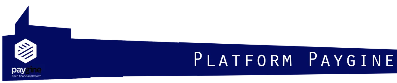 paygine platform.png