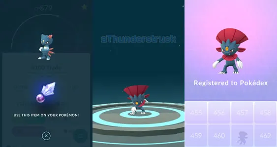 Evolving Sneasel.jpg