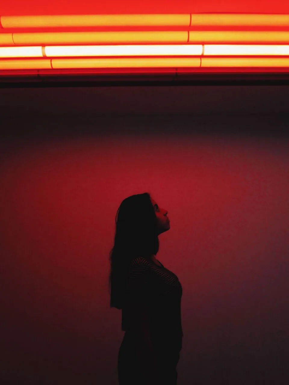 museo 6_preview.jpeg
