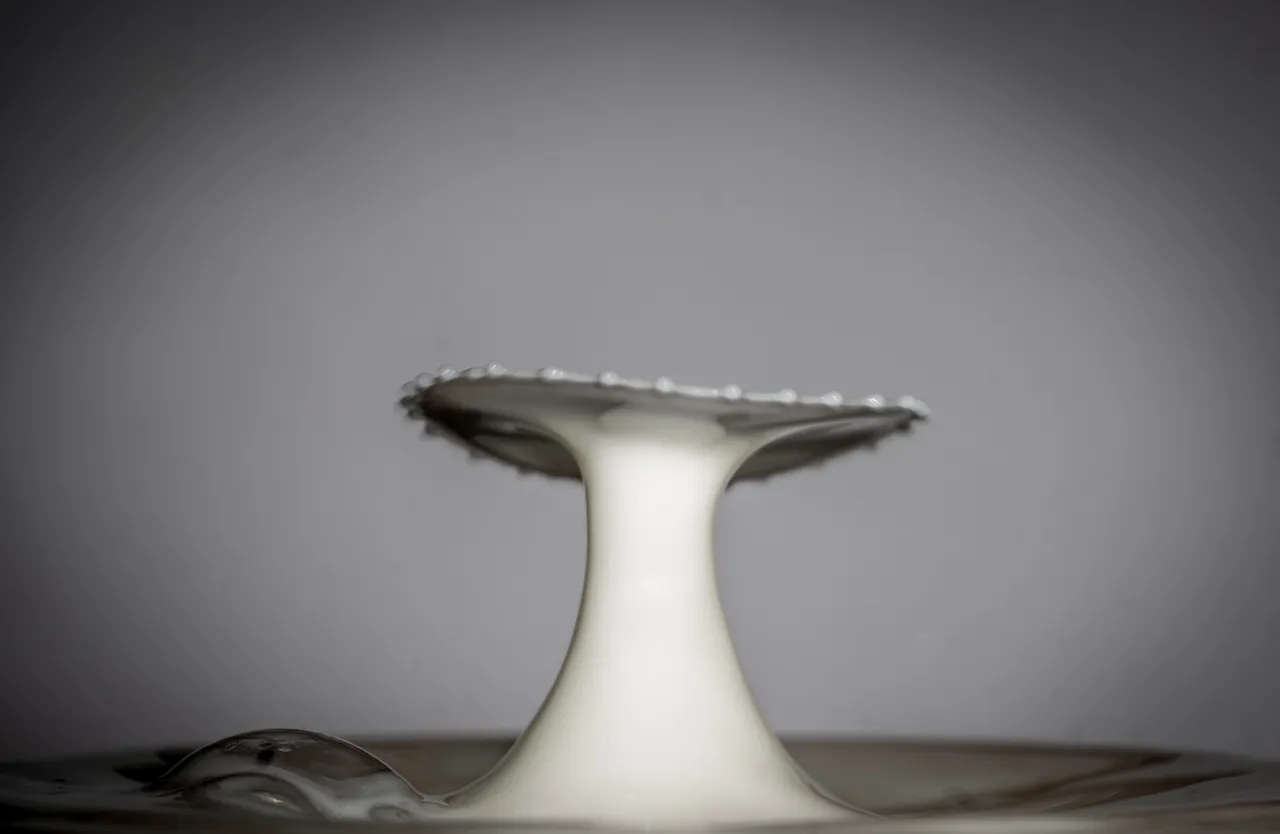 glas of milk15.jpg