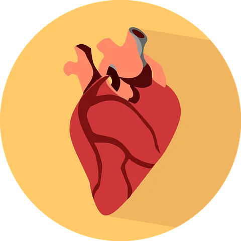 heart-2411130__480.png
