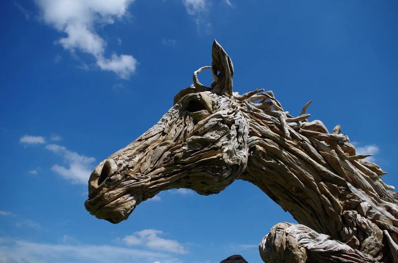 horse-2641408_1920.jpg
