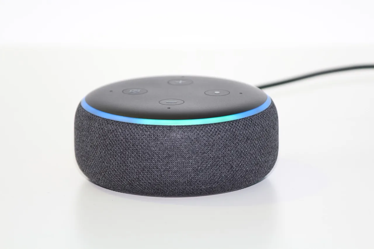 alexa-4758340_1280.jpg