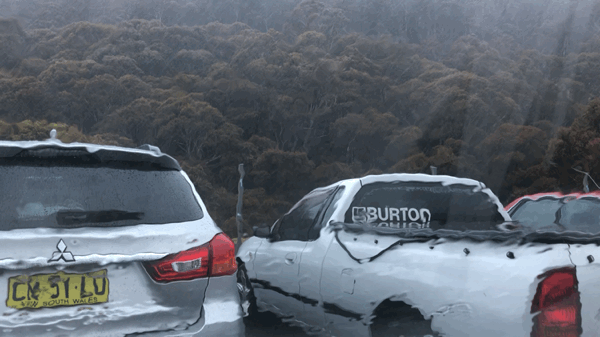 VideoToGif_GIF 6.GIF