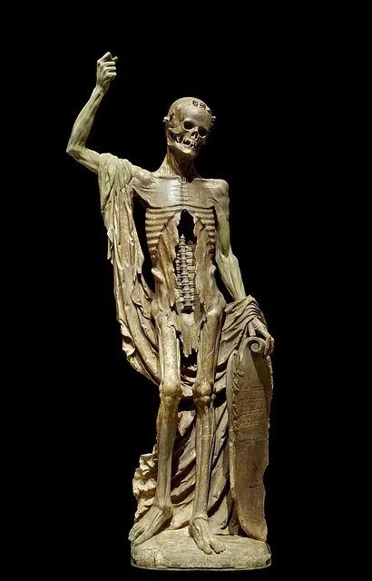 skeleton-63183_640.jpg