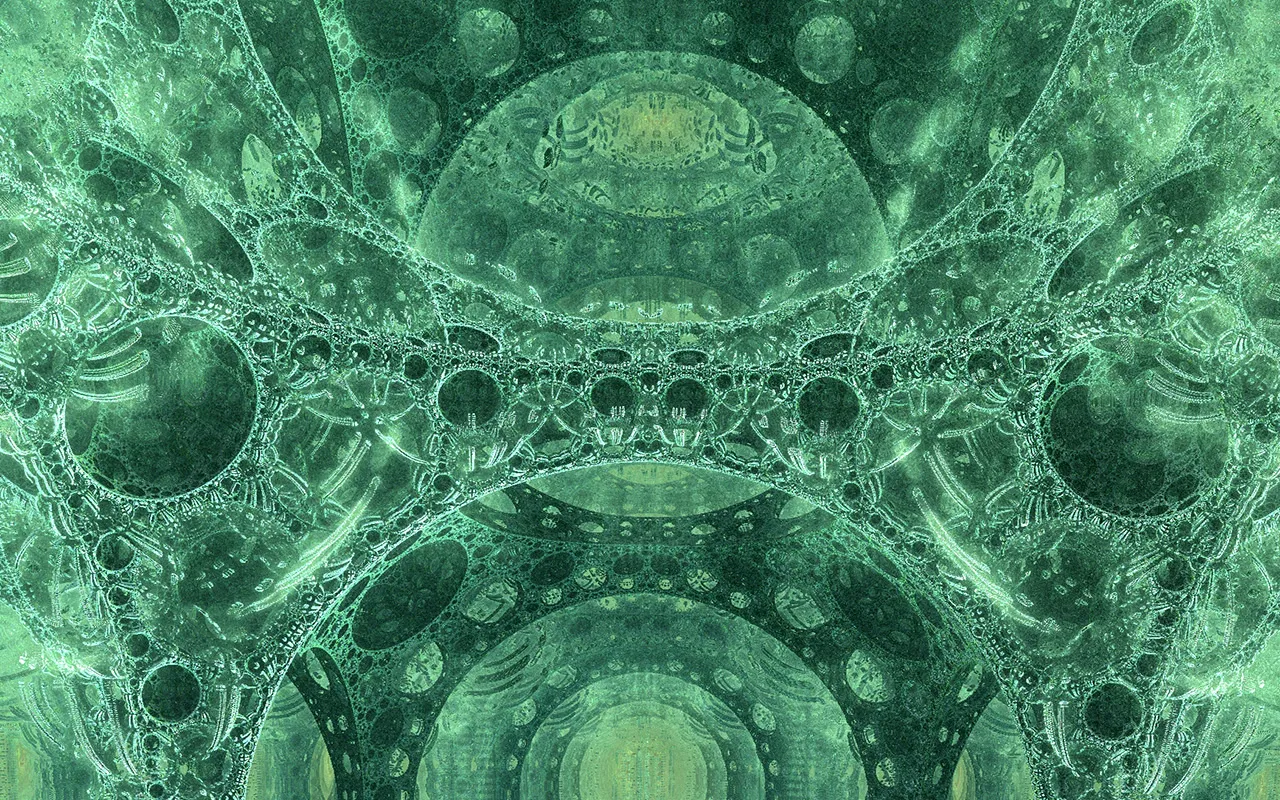 bone-structure-718.jpg