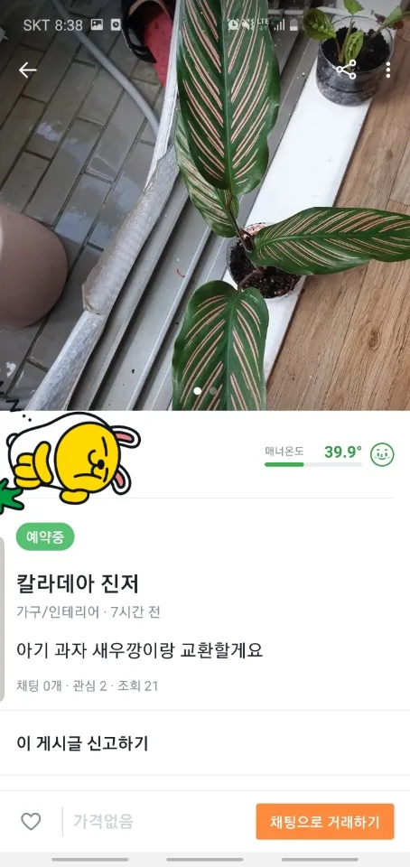 화분.jpg