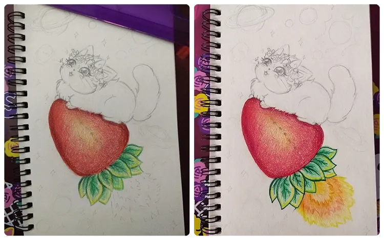 Untitled collage.png