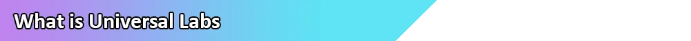 Section Header_1.png