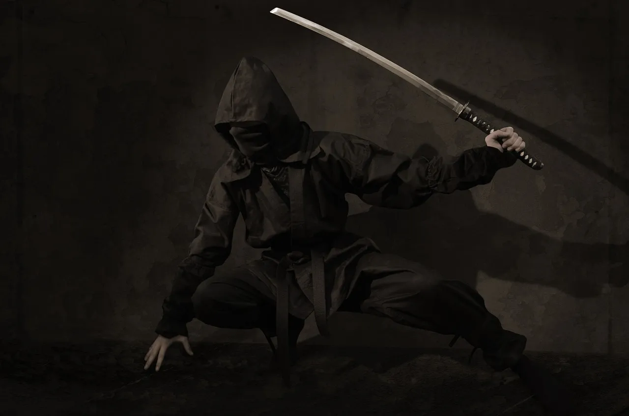 ninja-2007576_1280.jpg