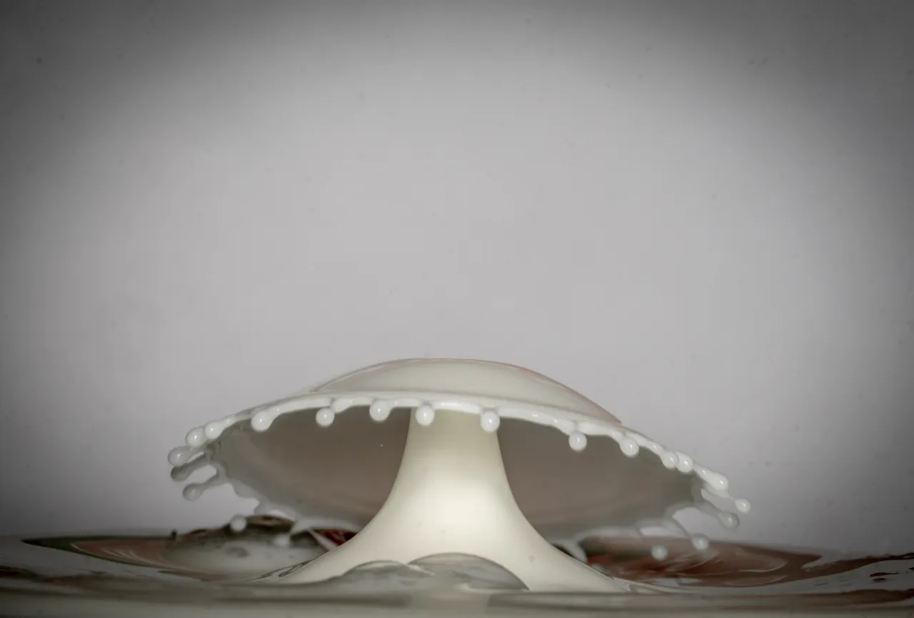 glas of milk06.jpg