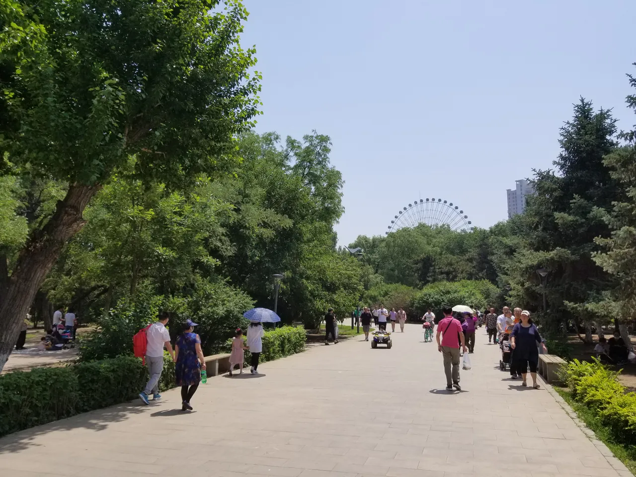 20180601_111348(0).jpg
