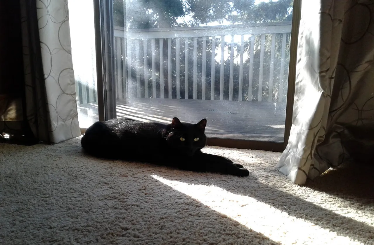 CC0188-InThe Sun.jpg