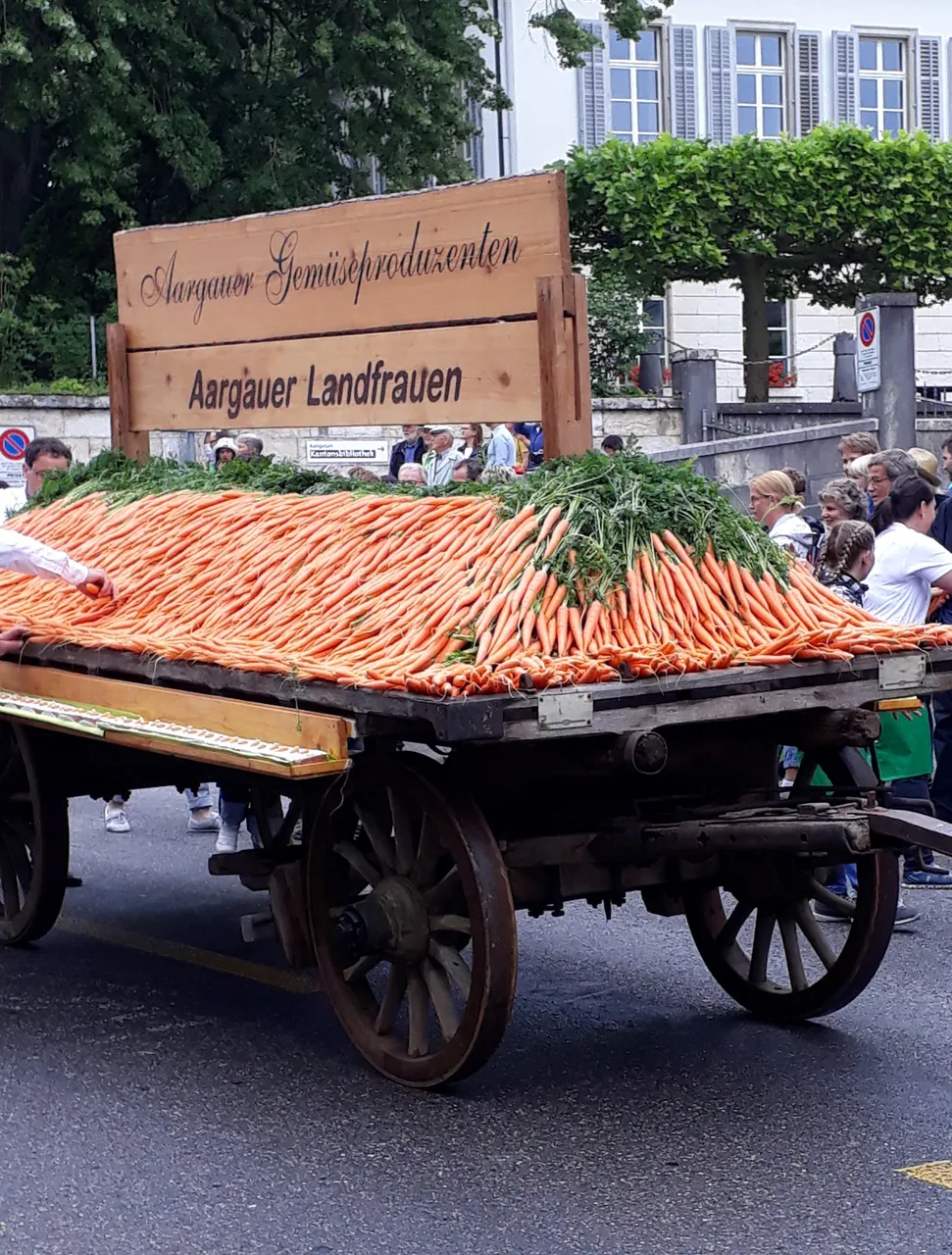 20190622_112602[1].jpg