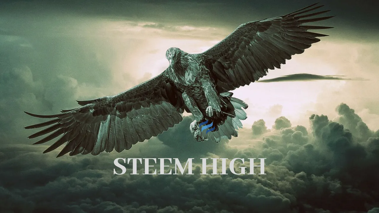 STEEM HIGH (4).png